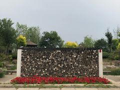 -武清南湖绿博园
