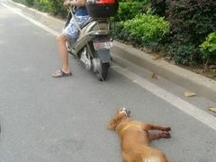 -哈尔滨北方森林动物园