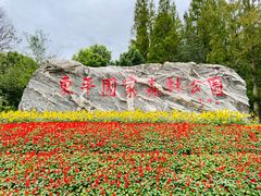 -东平国家森林公园