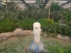 -南宫五洲植物乐园