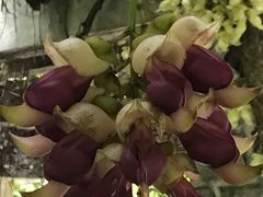 -华南国家植物园-售票处