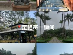 -南国桃园旅游度假区