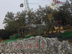 -大连森林动物园