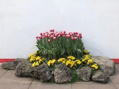 -南山植物园