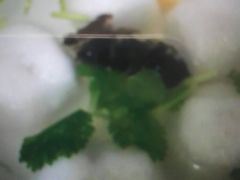 -大叔家福鼎小吃(十全街店)