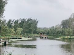 -东郊湿地公园