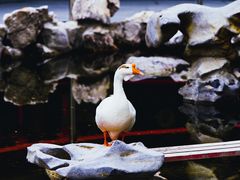 -龙华寺