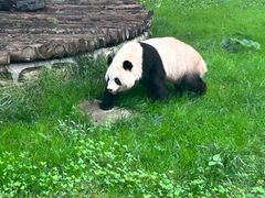 -西安秦岭野生动物园