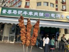 -景泰马记电烤串(景泰店)