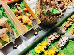 -菌自由丨野生菌火锅特色庭院餐厅(丽江古城店)