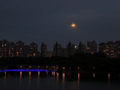 -世纪公园-1号门停车场
