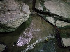-青枫公园