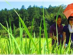 -韶山毛泽东同志故居