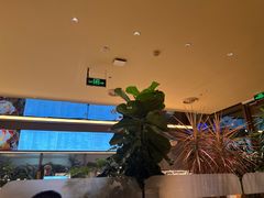 -Bco豆库(星耀天地店)