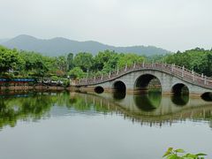 -大屏嶂森林公园