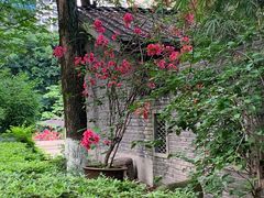 -重庆市江北嘴中央商务区中央公园