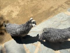-南戴河国际娱乐中心