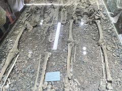 -库车王府