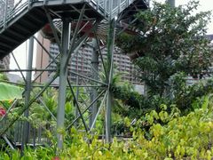 -亚马逊丛林水乐园