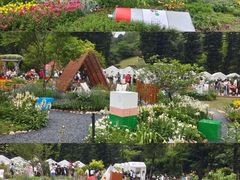 -深圳仙湖植物园