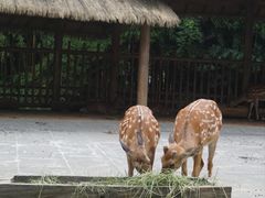 -金沙遗址博物馆