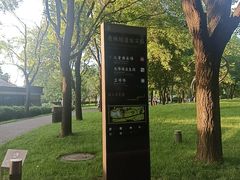-唐城墙遗址公园