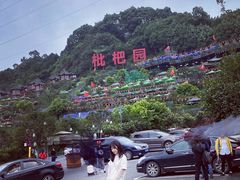 -枇杷园食为鲜火锅(南山店)