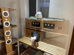 -有猫主题·治愈系猫咖(曾厝垵店)