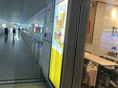 -麦当劳(上海虹桥站30B检票口楼上)