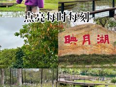 -映月湖公园