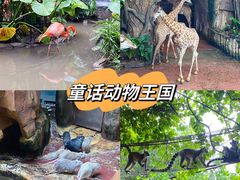 -长鹿旅游休博园