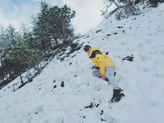 -硗碛藏寨·神木垒景区