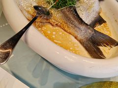 -陶缘一号·四季缘·老字号顺德菜·户外婚礼家宴(西滘店)