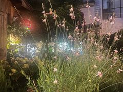 -大青树咖啡(大理古城店)
