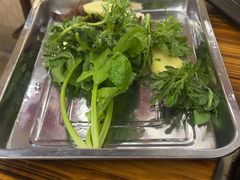 -金鼎雪山牦牛杂火锅(理县总店)