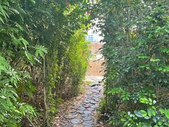 -华侨城湿地公园