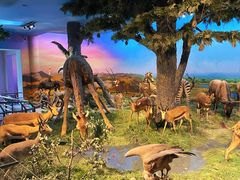 -国家自然博物馆