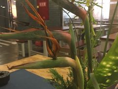 -扫雪煮茶(西村店)