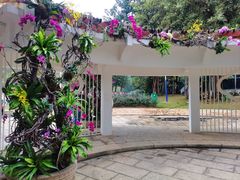 -人民公园(罗湖区)