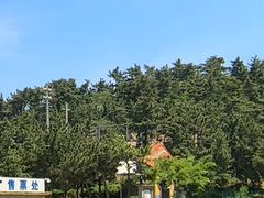 -摩天岭风景区
