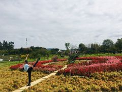 -紫颐香薰山谷景区