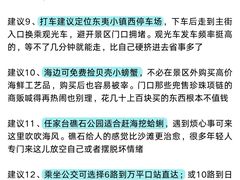 -日照海滨国家森林公园