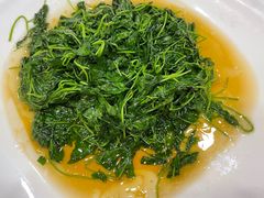 -紫阳家宴(源深店)