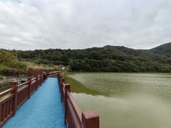 -黄埔油麻山森林公园