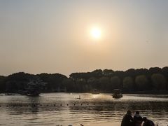 -上海鲜花港