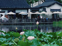-和平公园
