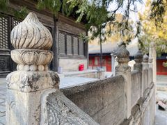 -大觉寺-停车场