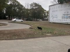 -胜华驾校·小猫学车(银都店)
