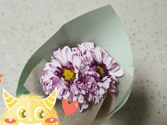 -小苍兰风铃草蛋糕甜品(沈阳店)