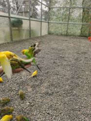 -萌宠亲子动物乐园(槐房万达店)